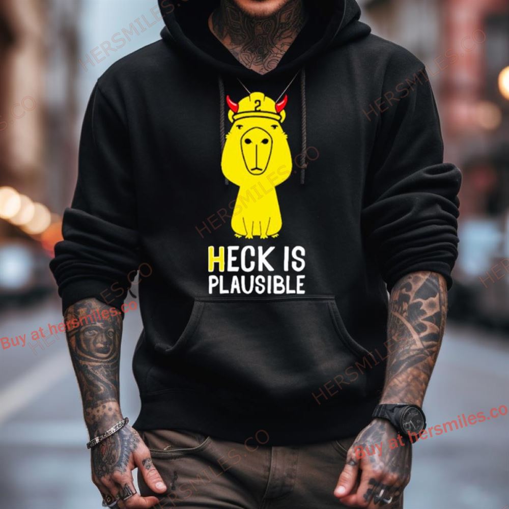 Heck Is Plausible 2023 Shirt Heck Is Plausible 2023 Shirt